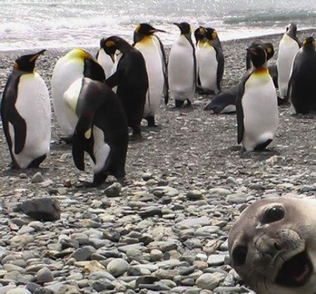 100321photoshop1.jpg