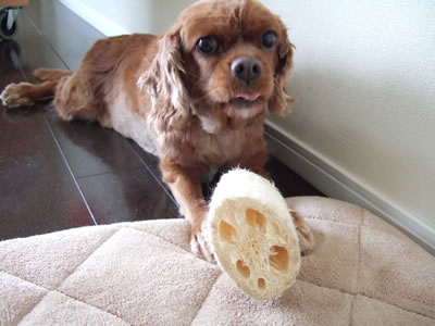 DSCF6235.jpg