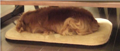 DSCF7048.jpg