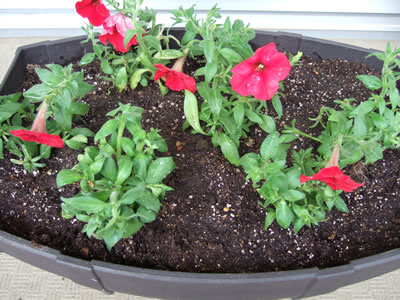 DSCF7535.jpg