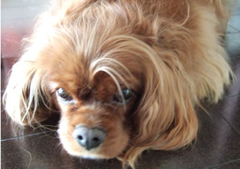 DSCF7554.jpg