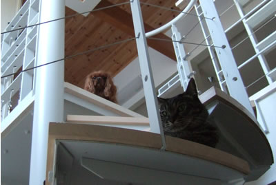 DSCF7608.jpg