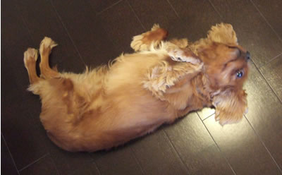 DSCF7910.jpg
