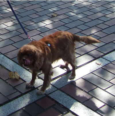 DSCF8152.jpg