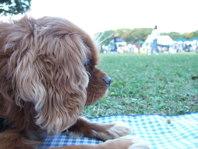 DSCF8167.jpg