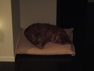 DSCF8183.jpg