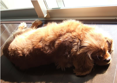 DSCF8193.jpg