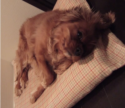 DSCF8197.jpg