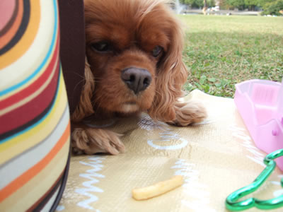 DSCF8208.jpg
