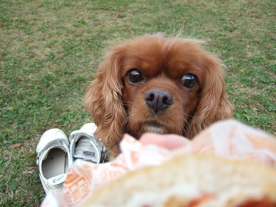 DSCF8209.jpg