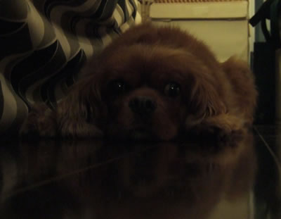 DSCF8222.jpg