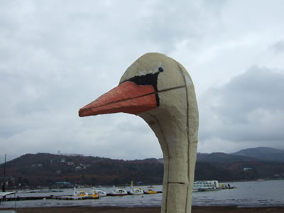 DSCF8366.jpg