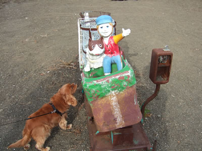 DSCF8388.jpg
