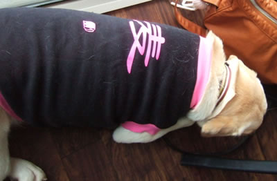 DSCF8496.jpg