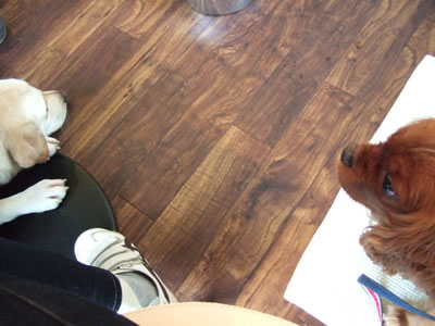 DSCF8498.jpg