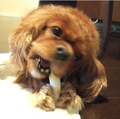 DSCF8510.jpg