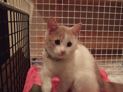 DSCF8524.jpg