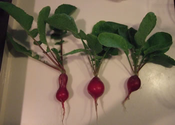 DSCF8565.jpg