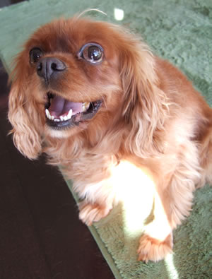 DSCF8569.jpg