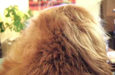 DSCF8686.jpg