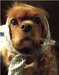 DSCF8725.jpg