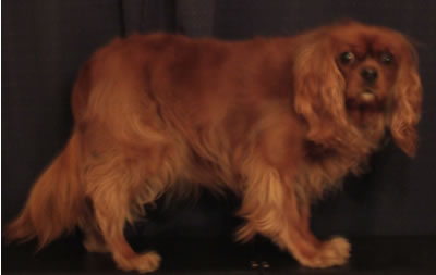 DSCF8773.jpg