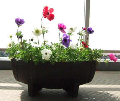 DSCF8779.jpg