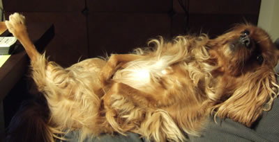 DSCF8795.jpg