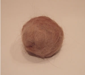 DSCF8807.jpg