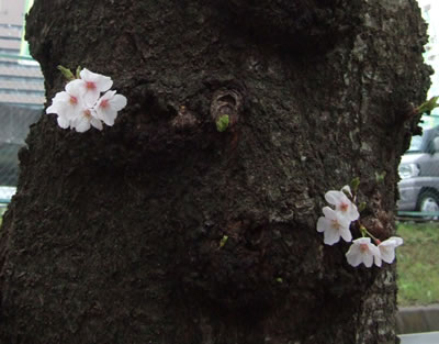 DSCF8847.jpg
