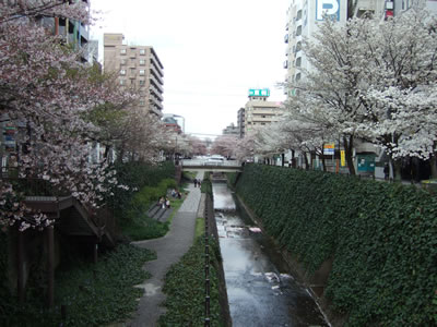 DSCF8851.jpg