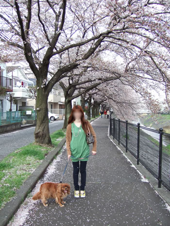 DSCF8862.jpg