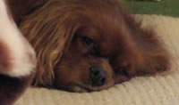 DSCF8887.jpg