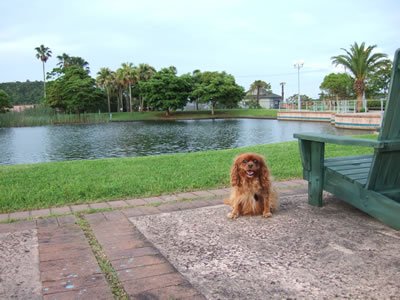 DSCF8988.jpg