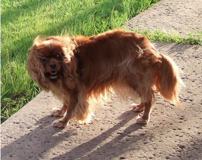 DSCF8994.jpg