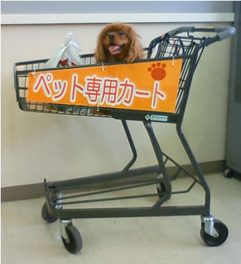 NEC_0087.jpg