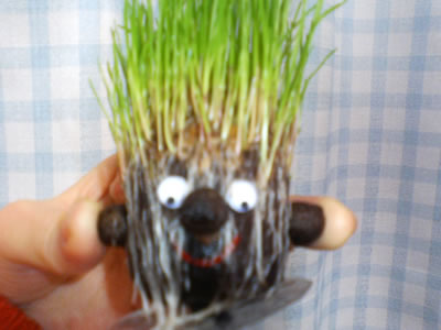 P1000035.jpg