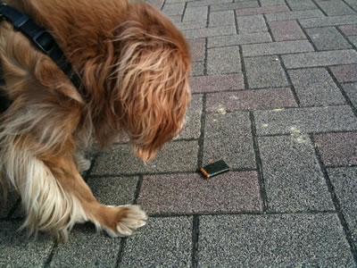 iPhone 017.jpg