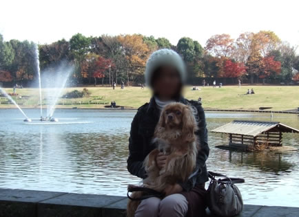 icho 2.jpg